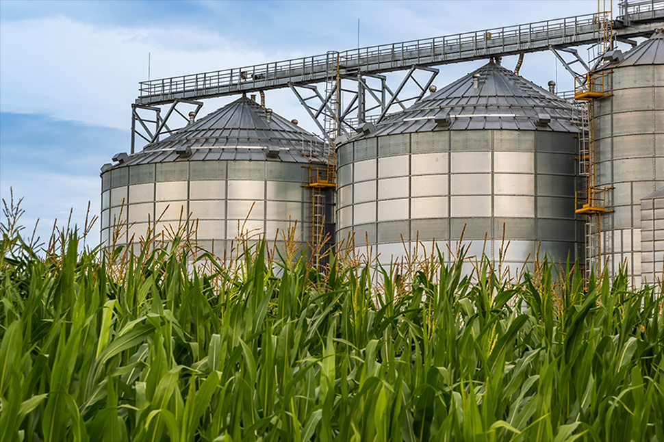 Agricultural Grain Processing