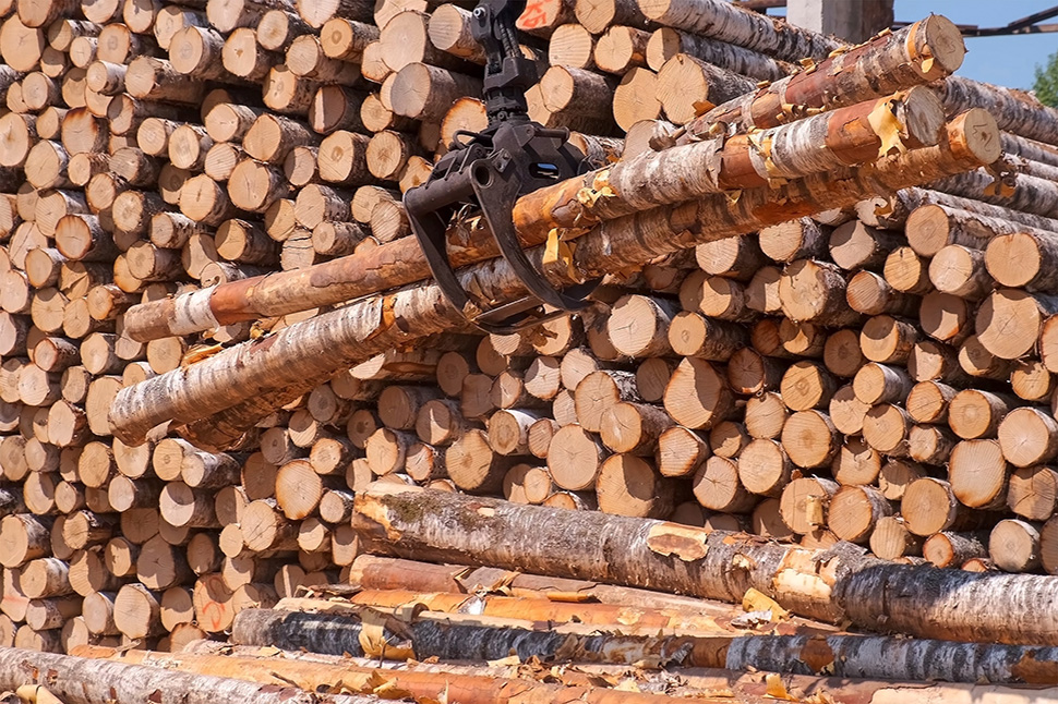 Wood Products Processing